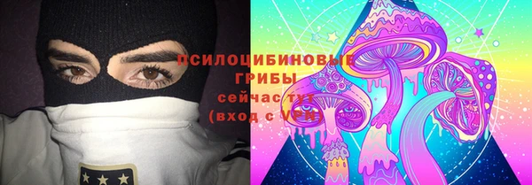 гашик Белоозёрский