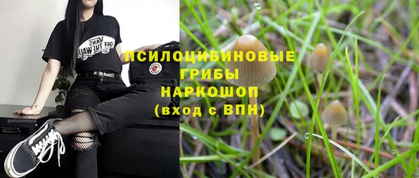 гашик Белоозёрский