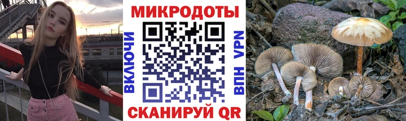 Галлюциногенные грибы Magic Shrooms  Волчанск 